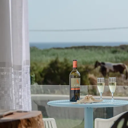 Naxos Island Escape Appartamento Pláka